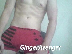 GingerAvenger
