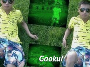 Gaokui