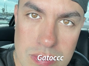 Gatoccc