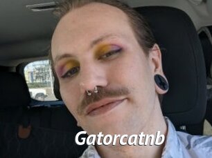Gatorcatnb