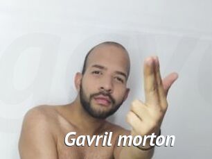 Gavril_morton