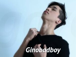 Ginobadboy