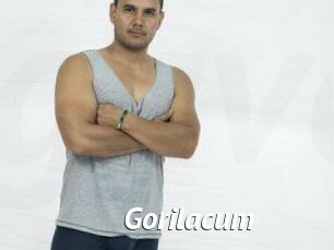Gorilacum