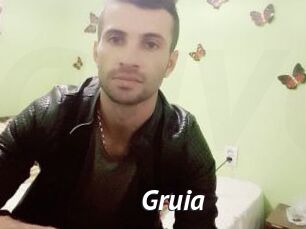 Gruia