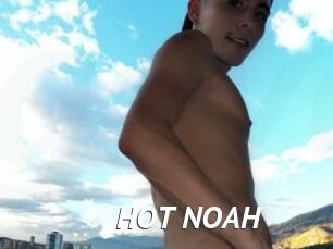HOT_NOAH