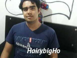 HairybigHo