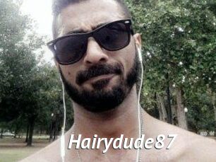 Hairydude87