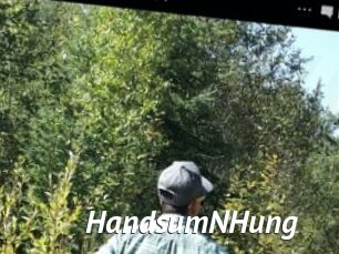 HandsumNHung
