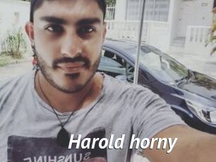 Harold_horny