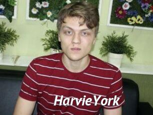 HarvieYork Gay Vod