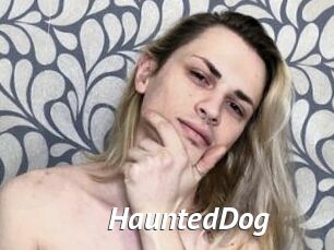 HauntedDog