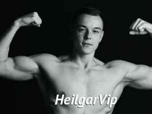 HeilgarVip