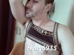 Hgay6935