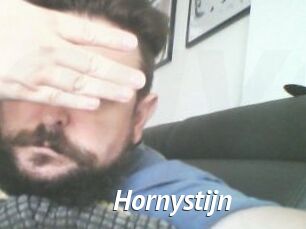 Hornystijn