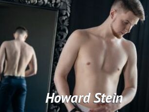 Howard_Stein