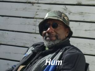 Hum