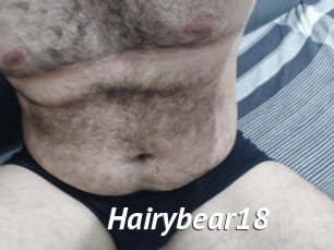 Hairybear18