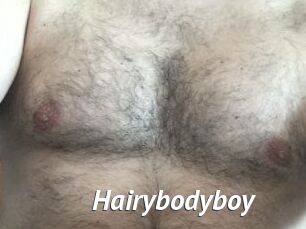 Hairybodyboy