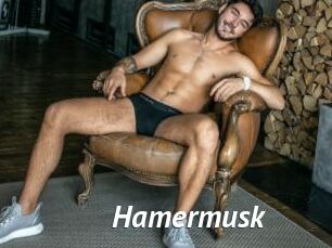 Hamermusk