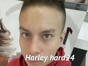 Harley_hard24