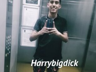 Harrybigdick