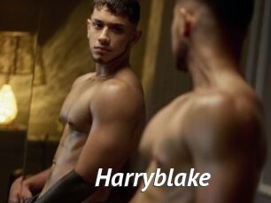 Harryblake