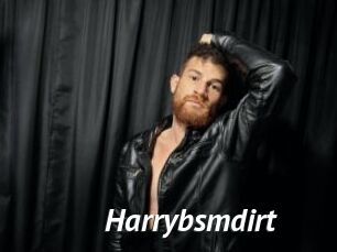 Harrybsmdirt