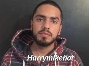 harrymikehot Gay Vod
