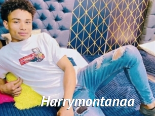 Harrymontanaa