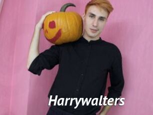 Harrywalters