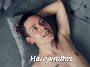 Harrywhites