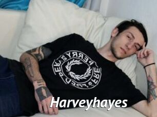Harveyhayes