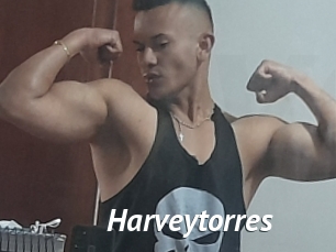 Harveytorres