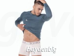 Haydenbig