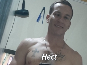 Hect
