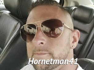 Hornetman41