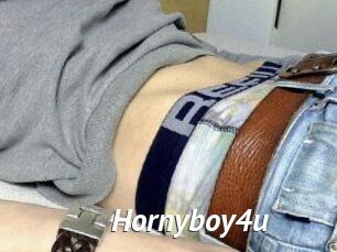 Hornyboy4u