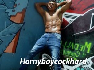 Hornyboycockhard