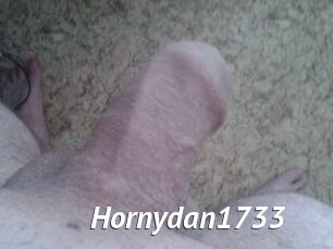 Hornydan1733