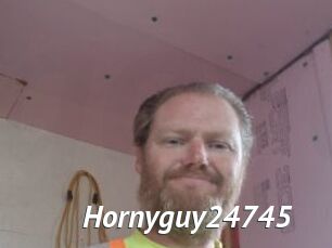 Hornyguy24745