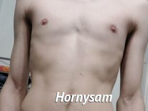 Hornysam
