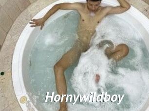 Hornywildboy