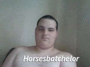 Horsesbatchelor