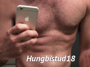 Hungbistud18