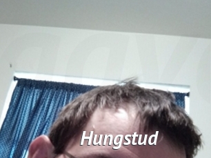 Hungstud