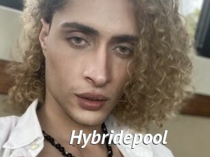 Hybridepool