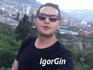 IgorGin