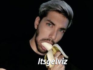 Itsgelviz