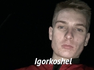 Igorkoshel
