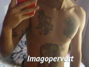 imagopervert Gay Vod